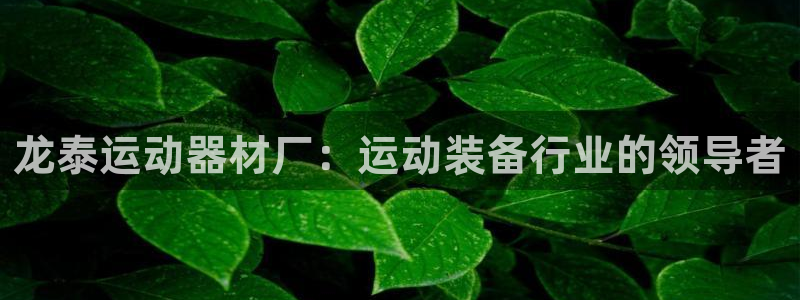 意昂3开户:龙泰运动器材厂:运动装备行业的领导者