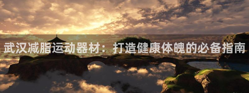 意昂3代理:武汉减脂运动器材:打造健康体魄的必备指南